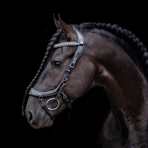 Anatomisch hoofdstel paard
